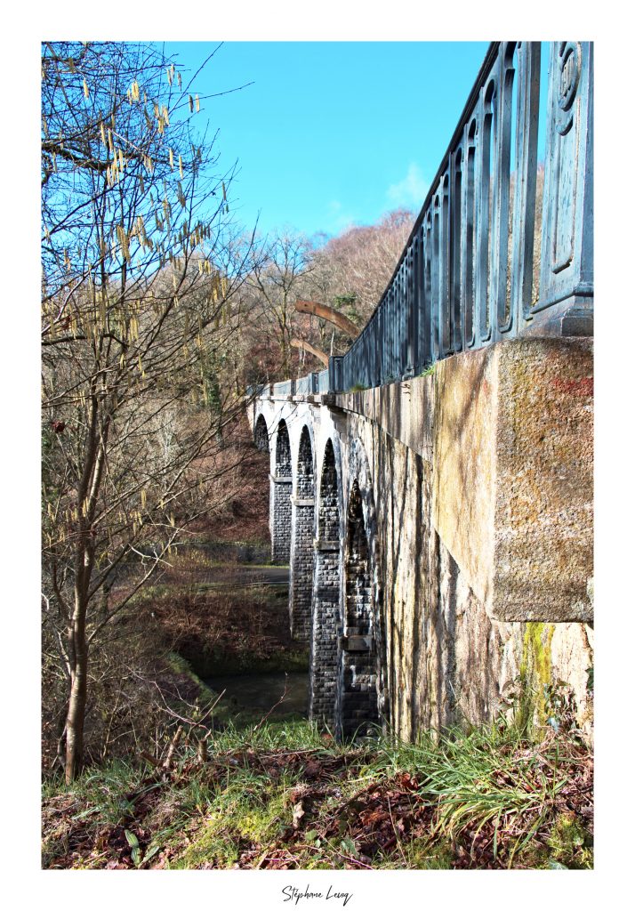 Viaduc de Bon-Repos sur Blavet - photographie Stéphane Lecoq