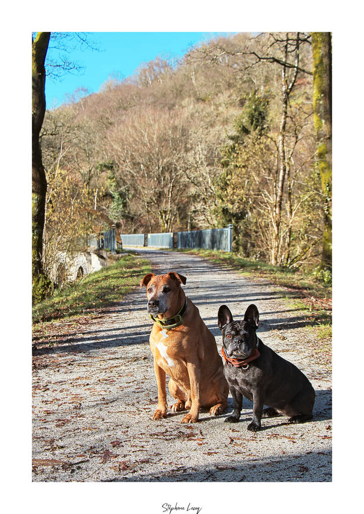 Mes deux accompagnants - photographie Stéphane Lecoq