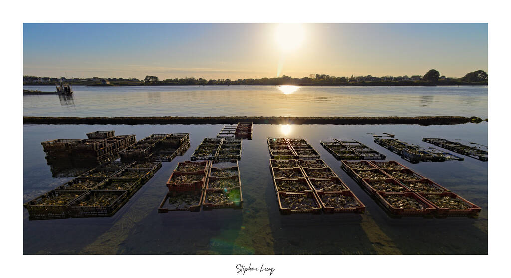 La Ria d'Etel, ce sont aussi ses ostréiculteurs - photographie Stéphane Lecoq